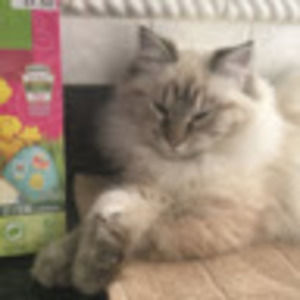 Meet your Posher, Beth